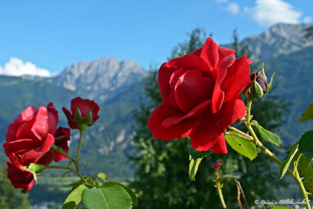 Fruehstueckspension Lemberger Dellach im Drautal Εξωτερικό φωτογραφία